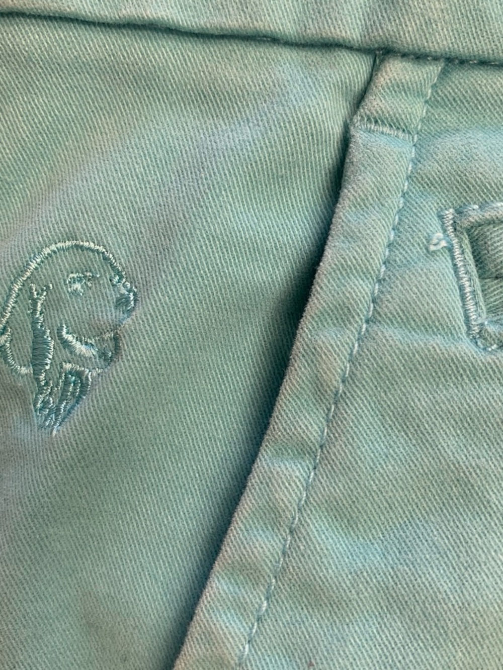 Denim & Flower Teal Shorts with Floral Lining - Picture 6 of 6